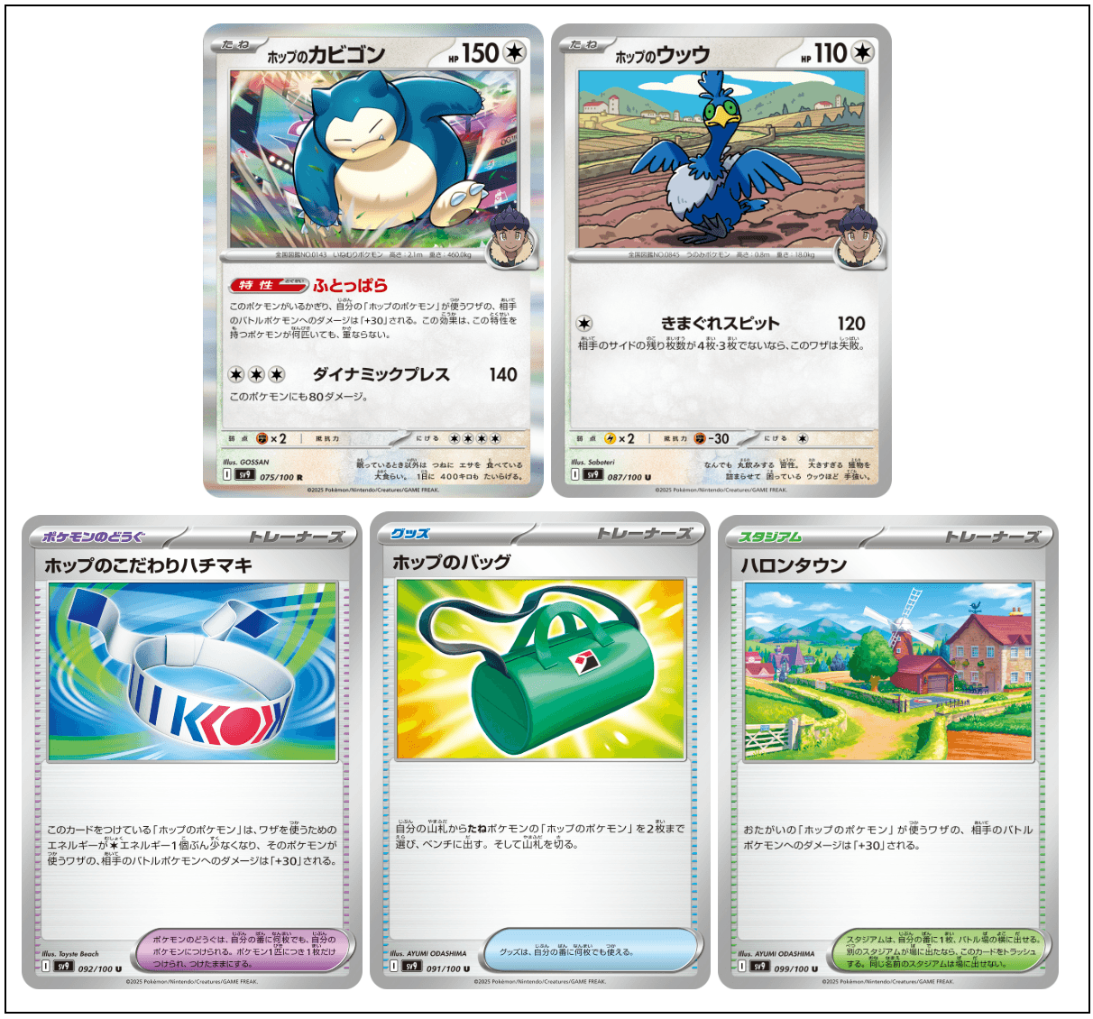 ホップのポケモン-w80