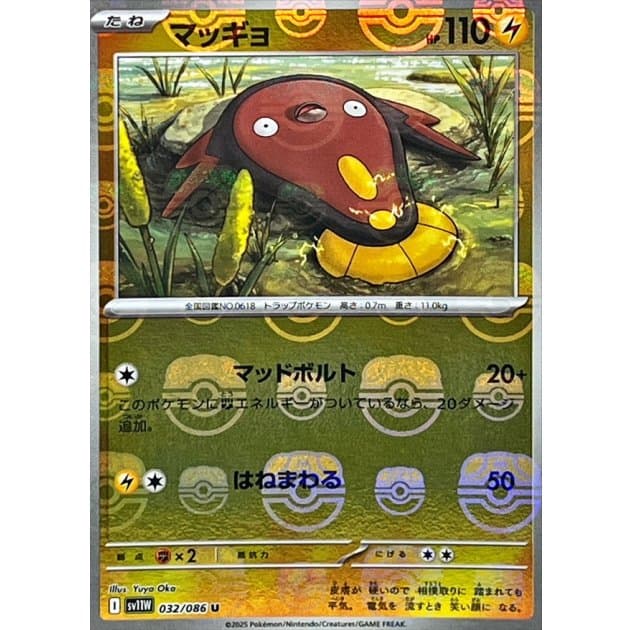 マッギョ(マスボミラー)-w30