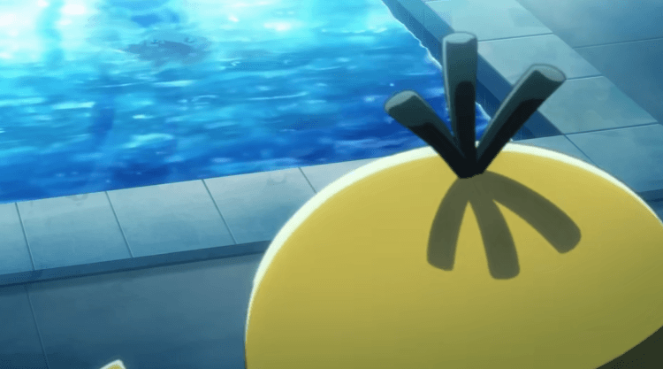 コダック新カード?-w60