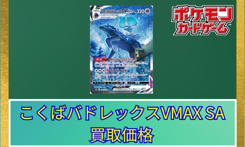 こくばバドレックス VMAX SAサムネ